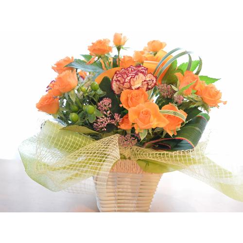 �v�`�ґ�ȃA�����W�����g�@IslandOrange�@�i�����o���̃t�����[�A�����W�����g�j�I�����W�n�@�a�����A�����L�O���A���j��3