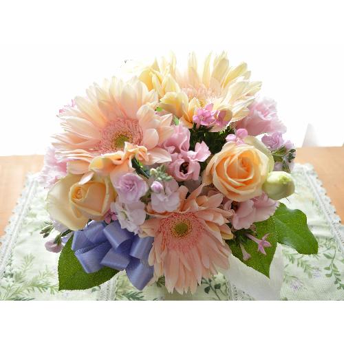�������p�@�A���W�����g�@AngelPink�@�i�o���ƃK�[�x���̃t�����[�A�����W�����g�j�@�s���N�n�@�������A������݁A���~�A���ފ݁A�����A�@��2