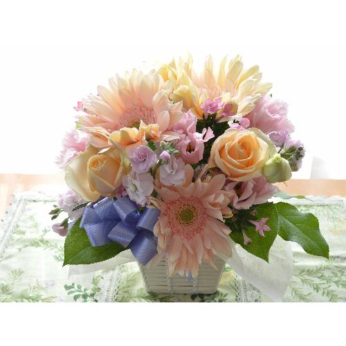 �������p�@�A���W�����g�@AngelPink�@�i�o���ƃK�[�x���̃t�����[�A�����W�����g�j�@�s���N�n�@�������A������݁A���~�A���ފ݁A�����A�@��3