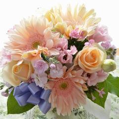 �������p�@�A���W�����g�@AngelPink�@�i�o���ƃK�[�x���̃t�����[�A�����W�����g�j�@�s���N�n�@�������A������݁A���~�A���ފ݁A�����A�@��