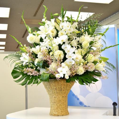�X�[�p�[�A�����W�����g�@BigSwan�@�i�����ƌӒ����̃t�����[�A�����W�����g�j�@���n�@�W����A�a�����A����A���\��A�o���j���A���j��