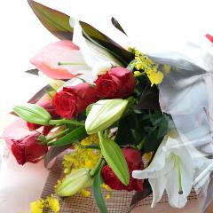 ��l�̃u�[�P�@RedClown�@�i�o���ƃ����̉ԑ��j�@�Ԍn�@�a�����E�����L�O���E���ʁE���j���E���\��E���C�u�E�R���T�[�g