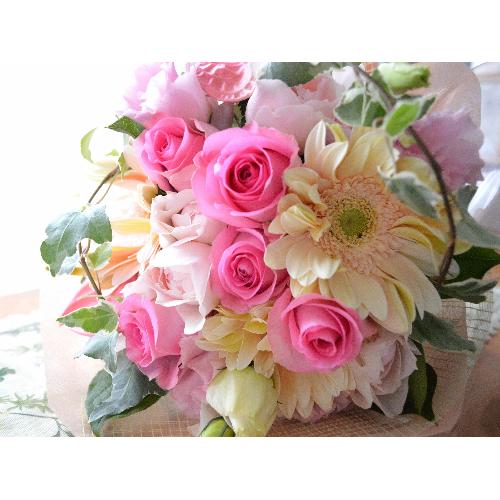 ��l�̃u�[�P�@PinkFeather�@�i�o���ƃK�[�x���̉ԑ��j�@�s���N�n�@�a�����E�����L�O���E���ʁE���j���E���\��E���C�u�E�R���T�[�g5