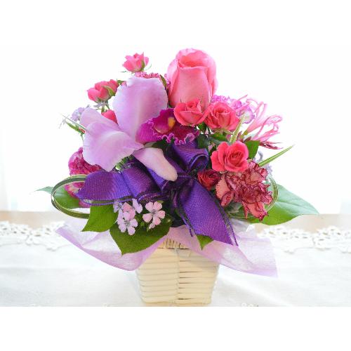 �v�`�ґ�ȃA�����W�@LoveSense�@�i�J�g���A�ƃo���̃t�����[�A�����W�����g�j�s���N�n�@�a�����A�����L�O���A���j��3