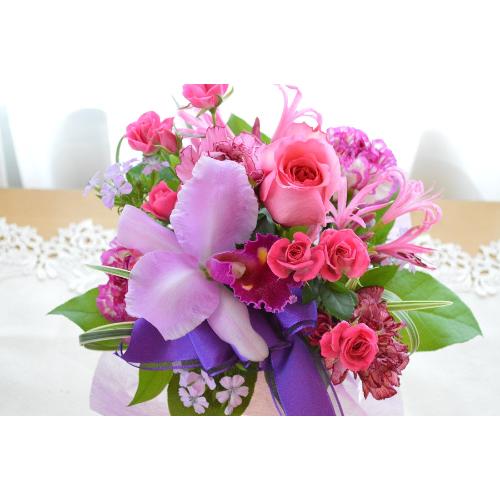 �v�`�ґ�ȃA�����W�@LoveSense�@�i�J�g���A�ƃo���̃t�����[�A�����W�����g�j�s���N�n�@�a�����A�����L�O���A���j��4