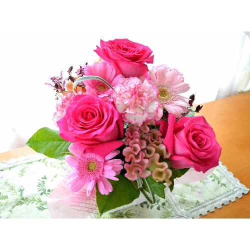 �v�`�ґ�ȃA�����W�@MilkyPink  (�o���ƃK�[�x���̃t�����[�A�����W�����g�j�@�s���N�n�@�a�����A�����L�O���A���j���A���\��A�R���T�[�g�A���C�u4