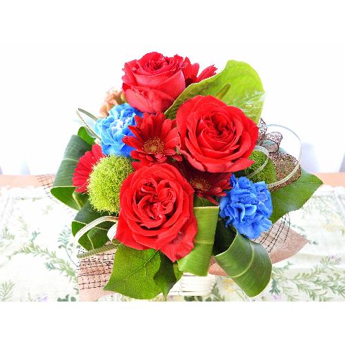 ��l�̃A�����W�����g�@RedStar  (�o���̃t�����[�A�����W�����g�j�@�s���N�n�@�a�����A�����L�O���A���j���A�h�V�̓��A�����v�w�̓��A�N���X�}�X2