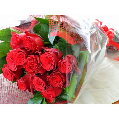 �P�_�[�X�̐Ԃ��o��  �i�ԑ��j�@�o�����^�C���A�z���C�g�f�C�A�����L�O���A�v���|�[�Y�A���l�̓��A�N���X�}�X3