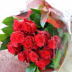 �P�_�[�X�̐Ԃ��o��  �i�ԑ��j�@�o�����^�C���A�z���C�g�f�C�A�����L�O���A�v���|�[�Y�A���l�̓��A�N���X�}�X