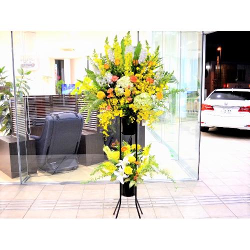 ���j���p�@�X�^���h�� �@��i�@���F�I�����W�n�@(�o���̃X�^���h�ԁj�J�X�j���A�J�Əj���A���N�j���A����A�R���T�[�g�A���C�u�A�W����A�W����A���\��2