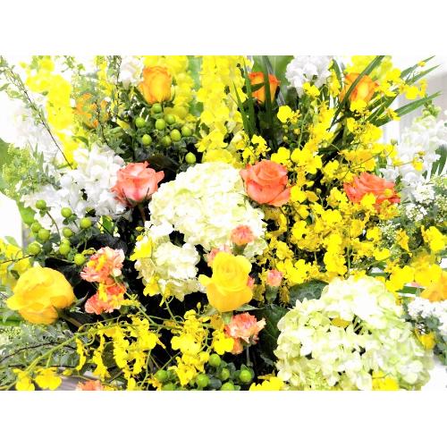 ���j���p�@�X�^���h�� �@��i�@���F�I�����W�n�@(�o���̃X�^���h�ԁj�J�X�j���A�J�Əj���A���N�j���A����A�R���T�[�g�A���C�u�A�W����A�W����A���\��4
