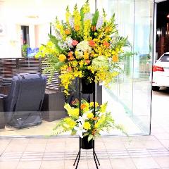 ���j���p�@�X�^���h�� �@��i�@���F�I�����W�n�@(�o���̃X�^���h�ԁj�J�X�j���A�J�Əj���A���N�j���A����A�R���T�[�g�A���C�u�A�W����A�W����A���\��