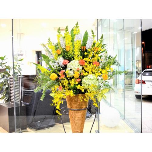 ���j���p�@�X�^���h�� �@�R�[���^�@���F�I�����W�n�@(�o���̃X�^���h�ԁj�J�X�j���A�J�Əj���A���N�j���A����A�R���T�[�g�A���C�u�A�W����A�W����A���\��3