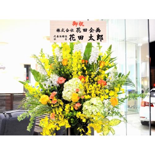 ���j���p�@�X�^���h�� �@�R�[���^�@���F�I�����W�n�@(�o���̃X�^���h�ԁj�J�X�j���A�J�Əj���A���N�j���A����A�R���T�[�g�A���C�u�A�W����A�W����A���\��5
