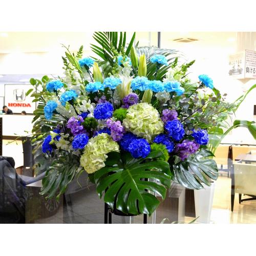 ���j���p�@�X�^���h�� �@��i�@�u���[�n�@(�J�[�l�[�V�����ƃ����̃X�^���h�ԁj�j�J�X�j���A�J�Əj���A���N�j���A����A�R���T�[�g�A���C�u�A�W����A���\��3