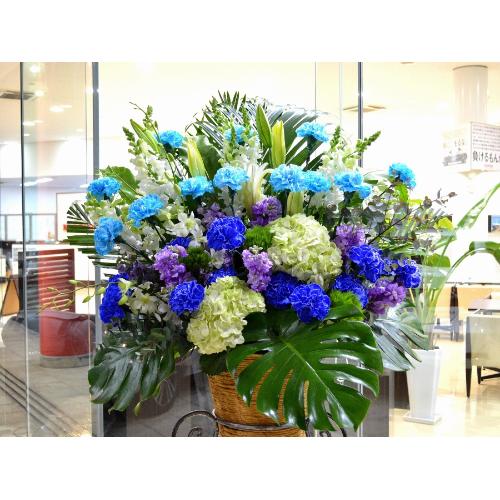 ���j���p�@�X�^���h�� �@�R�[���X�^���h�@�u���[�n�@(�J�[�l�[�V�����ƃ����̃X�^���h�ԊJ�X�j���A�J�Əj���A���N�j���A����A�R���T�[�g�A���C�u�A���\��3