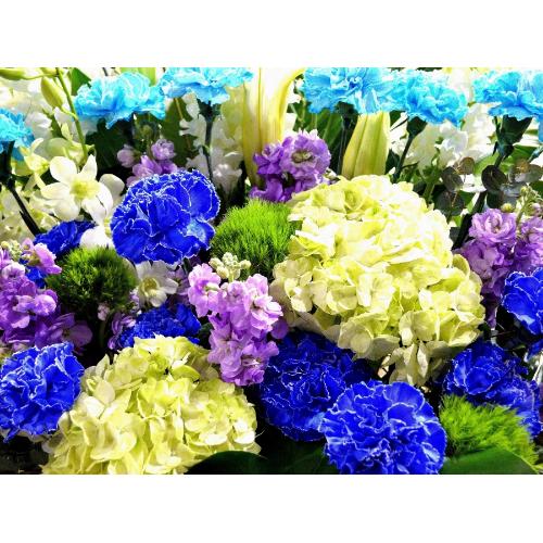 ���j���p�@�X�^���h�� �@�R�[���X�^���h�@�u���[�n�@(�J�[�l�[�V�����ƃ����̃X�^���h�ԊJ�X�j���A�J�Əj���A���N�j���A����A�R���T�[�g�A���C�u�A���\��4