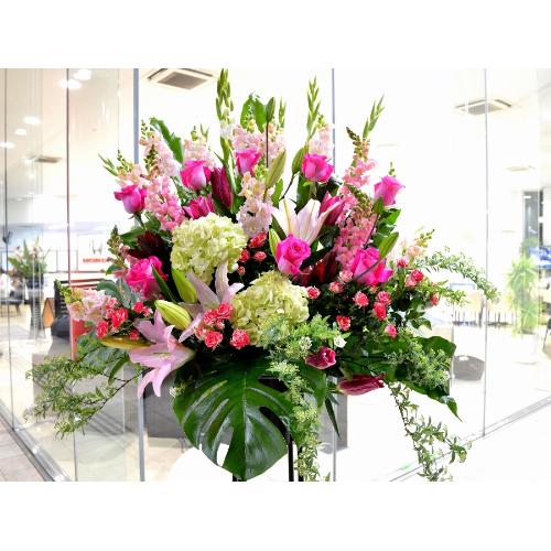 ���j���p�@�X�^���h�� �@��i�@�s���N�n(�o���ƃ����̃X�^���h�ԁj�J�X�j���A�J�Əj���A���N�j���A�ړ]�j���A�A�C�j���A����A�R���T�[�g�A���C�u�A���\��3