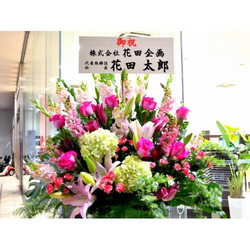���j���p�@�X�^���h�� �@�R�[���X�^���h�@�s���N�n(�o���ƃ����̃X�^���h�ԁj�J�X�j���A�J�Əj���A���N�j���A�ړ]�j���A�A�C�j���A����A�R���T�[�g�A���\5