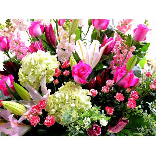 ���j���p�@�X�^���h�� �@�����X�^���h�@�s���N�n (�o���̃X�^���h�ԁj�J�X�j���A�J�Əj���A���N�j���A����A�R���T�[�g�A���C�u�A�W����A�W����A���\��4