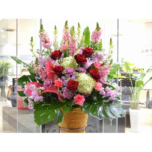 ���j���p�@�X�^���h�� �@�R�[���X�^���h�@�s���N�n  (�o���ƃ����̃X�^���h�ԁj�J�X�j���A�J�Əj���A���N�j���A�ړ]�j���A�A�C�j���A����A�R���T�[�g�A���\3