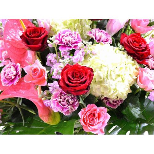 ���j���p�@�X�^���h�� �@�R�[���X�^���h�@�s���N�n  (�o���ƃ����̃X�^���h�ԁj�J�X�j���A�J�Əj���A���N�j���A�ړ]�j���A�A�C�j���A����A�R���T�[�g�A���\4