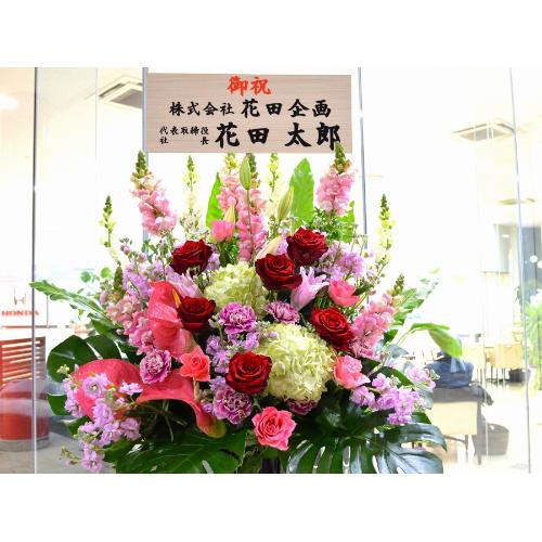 ���j���p�@�X�^���h�� �@�R�[���X�^���h�@�s���N�n  (�o���ƃ����̃X�^���h�ԁj�J�X�j���A�J�Əj���A���N�j���A�ړ]�j���A�A�C�j���A����A�R���T�[�g�A���\5