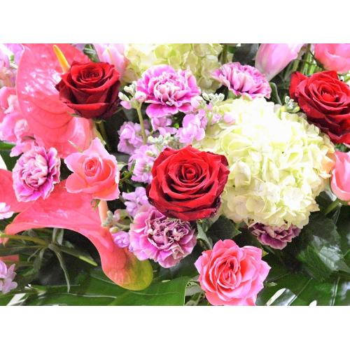 ���j���p�@�X�^���h�� �@�����X�^���h�@�s���N�n (�o���̃X�^���h�ԁj�J�X�j���A�J�Əj���A���N�j���A����A�R���T�[�g�A���C�u�A�W����A�W����A���\��4