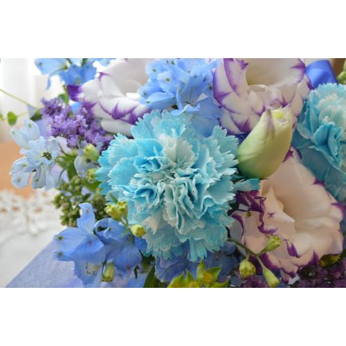 �L���[�g�ȃA�����W�@BluePurple�@�i�J�[�l�[�V�����ƃg���R�L�L���E�̃t�����[�A�����W�����g�j�u���[�n�@�a�����A�����L�O���A���j��5