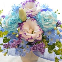 �L���[�g�ȃA�����W�@BluePurple�@�i�J�[�l�[�V�����ƃg���R�L�L���E�̃t�����[�A�����W�����g�j�u���[�n�@�a�����A�����L�O���A���j��