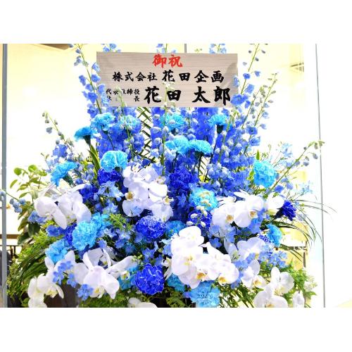 ���j���p�@�X�^���h�� �@�R�[���^�@�Ӓ�������u���[ �n5