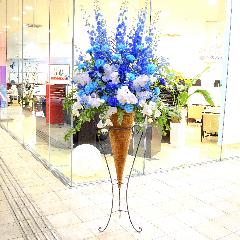 ���j���p�@�X�^���h�� �@�R�[���^�@�Ӓ�������u���[ �n