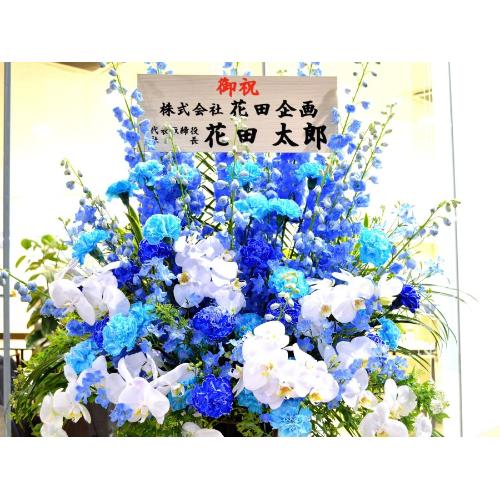 ���j���p�@�X�^���h�� �@�X�`�[���^�@�Ӓ�������u���[�n5