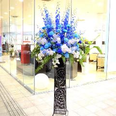 ���j���p�@�X�^���h�� �@�X�`�[���^�@�Ӓ�������u���[�n