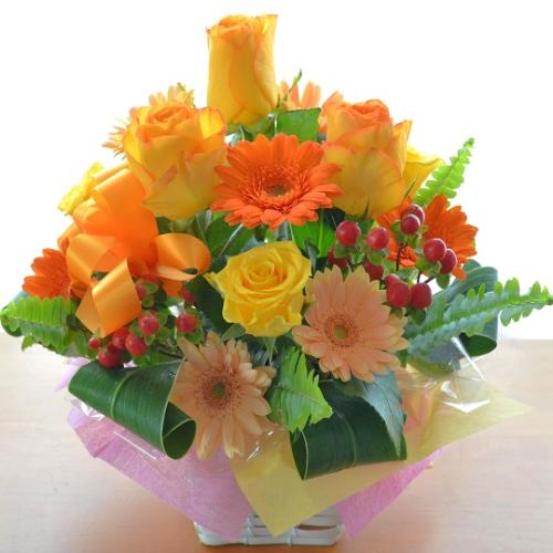 �v�`�ґ�ȃA�����W�����g�@OrangeHeart�@(�o���ƃK�[�x���̃t�����[�A�����W�������g�j�I�����W�n�@�a�����A�����L�O���A���j���A�h�V�̓�