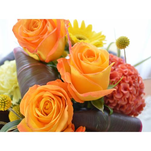 �v�`�ґ�ȃA�����W�����g�@Mont Blanc�@�i�o���̃t�����[�A�����W�����g�j�I�����W�n�@�a�����A�h�V�̓��A���j���A�h�V�̓�5