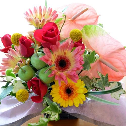 �v�`�ґ�ȃA�����W�@FruitBasket (�A���X�����[���ƃK�[�x���̃t�����[�A�����W�����g�jMix�J���[ �a�����A�����L�O���A���j���A�h�V�̓�