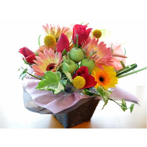 �v�`�ґ�ȃA�����W�@FruitBasket (�A���X�����[���ƃK�[�x���̃t�����[�A�����W�����g�jMix�J���[ �a�����A�����L�O���A���j���A�h�V�̓�4
