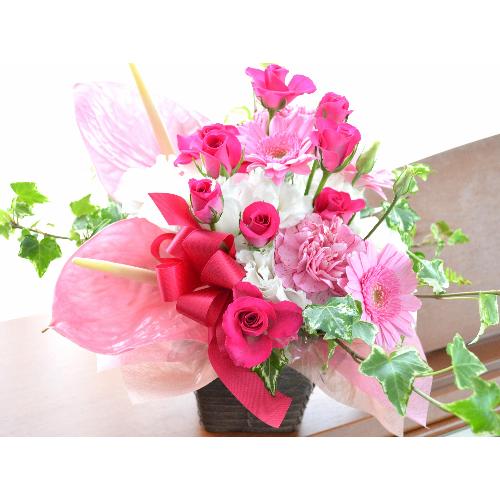 �v�`�ґ�ȃA�����W�@PinkDolce�@�i�A���X�����[����sp�o���̃t�����[�A�����W�����g�j�s���N�n�@�a�����A�����L�O���A���j���A�h�V�̓�2