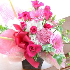 �v�`�ґ�ȃA�����W�@PinkDolce�@�i�A���X�����[����sp�o���̃t�����[�A�����W�����g�j�s���N�n�@�a�����A�����L�O���A���j���A�h�V�̓�