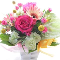 �L���[�g�ȃA�����W�@�q���̃����c�i�o���ƃK�[�x���̃t�����[�A�����W�����g�j�s���N�n�@�a�����A�����L�O���A���j���A�h�V�̓�