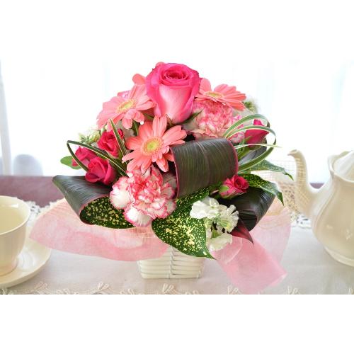 �L���[�g�ȃA�����W�����g�@SilentLove�@(�o���ƃK�[�x���̃t�����[�A�����W�����g�j�@�s���N�n�@�a�����A�����L�O���A���j���A���\��A�R���T�[�g�A���C�u3