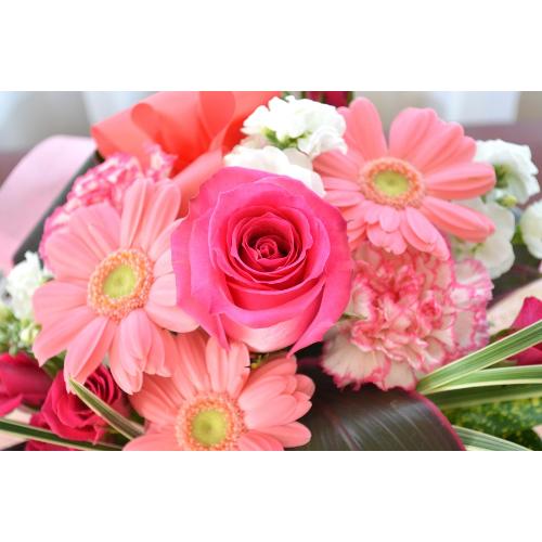 �L���[�g�ȃA�����W�����g�@SilentLove�@(�o���ƃK�[�x���̃t�����[�A�����W�����g�j�@�s���N�n�@�a�����A�����L�O���A���j���A���\��A�R���T�[�g�A���C�u5