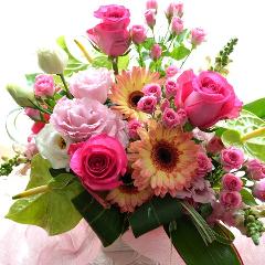 �������A���@�A�����W�����g�@PinkSapphire