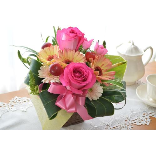 �L���[�g�ȃA�����W�����g�@PinkTea�@(�o���ƃK�[�x���̃t�����[�A�����W�����g�j�@�s���N�n�@�a�����A�����L�O���A���j���A���\��A�R���T�[�g�A���C�u3