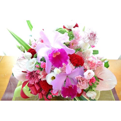 ���o�[�Y�R���`�F���g�@�i���̃t�����[�A�����W�����g�j�s���N�n�@�a�����A�����L�O���A���j���A�h�V�̓�3