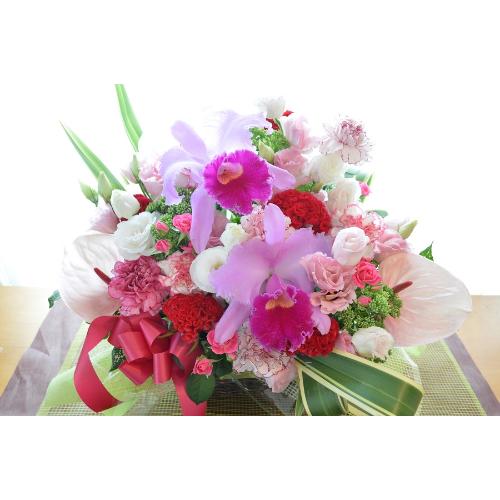 ���o�[�Y�R���`�F���g�@�i���̃t�����[�A�����W�����g�j�s���N�n�@�a�����A�����L�O���A���j���A�h�V�̓�5