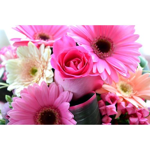 �L���[�g�ȃA�����W�����g�@PinkEssence�@�i�K�[�x���ƃo���̃t�����[�A�����W�����g�j�s���N�n�@�a�����A�����L�O���A���j���A���\��A�R���T�[�g�A���C�u5