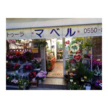 �X�܊O�ω摜