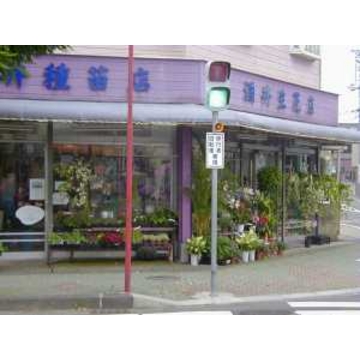 �X�܊O�ω摜